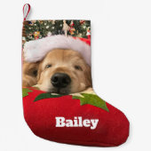 Kerstgouden koortsnaveldog onder de boom kleine kerstsok (Voorkant)