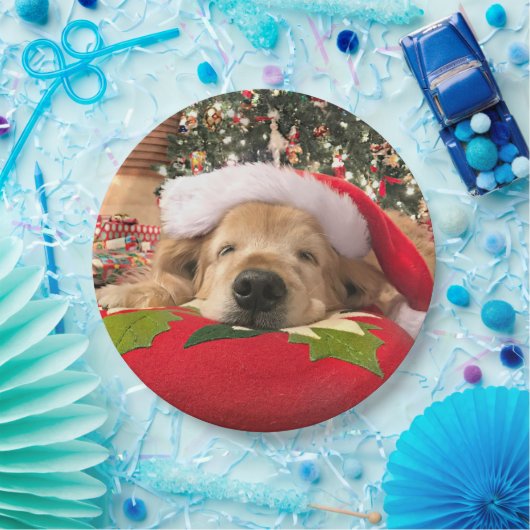 Kerstgouden koortsnaveldog onder de boom papieren bordje (Feest)