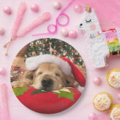 Kerstgouden koortsnaveldog onder de boom papieren bordje (Feest)