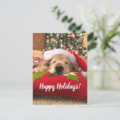 Kerstgouden koortsnavelstaarhond slaapt onder de b feestdagenkaart (Staand voorkant)