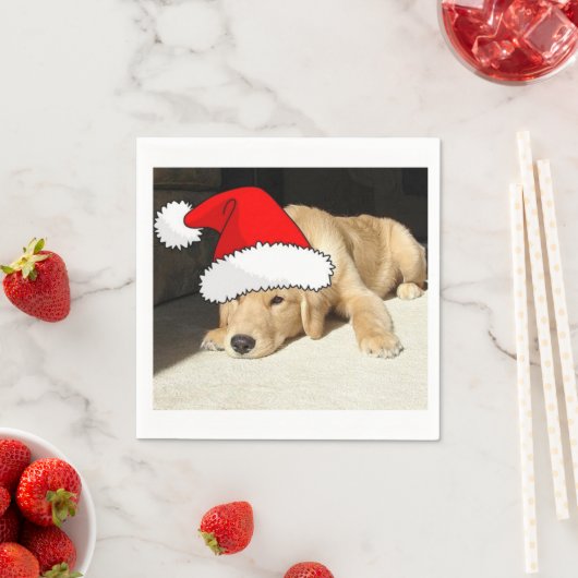 kerstgouden reckettingen servetten (Insitu)