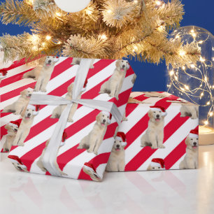 Kerstgouden rector op stapes cadeaupapier