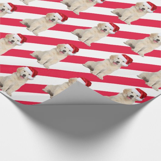 Kerstgouden rector op stapes cadeaupapier (Hoek)