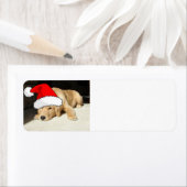 kerstgouden recup etiket (Insitu)