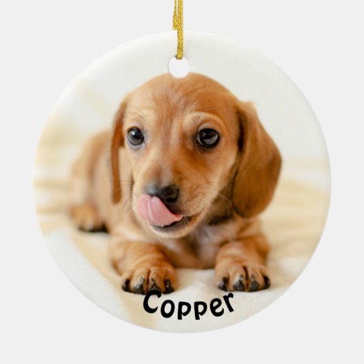 Kerstgrappige Dachshund-fotokeramisch Ornament (Achterkant)