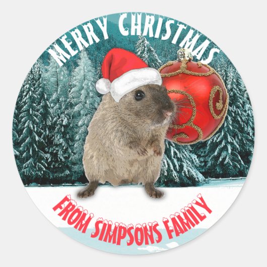 Kerstgrappige hamster in Red Santa Hat Jouw tekst Ronde Sticker (Voorkant)