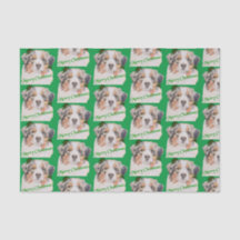 Kerstgroene realistische Australiër Shepherd