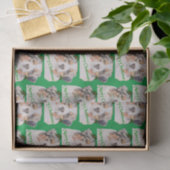 Kerstgroene realistische Australiër Shepherd Tissuepapier (Geschenk)