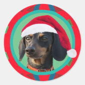 Kerstgroene rode foto van uw hond of onze dashond  ronde sticker (Voorkant)