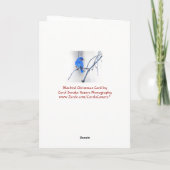 Kerstgroet - Bluebird in zwart-wit Feestdagen Kaart (Achterkant)