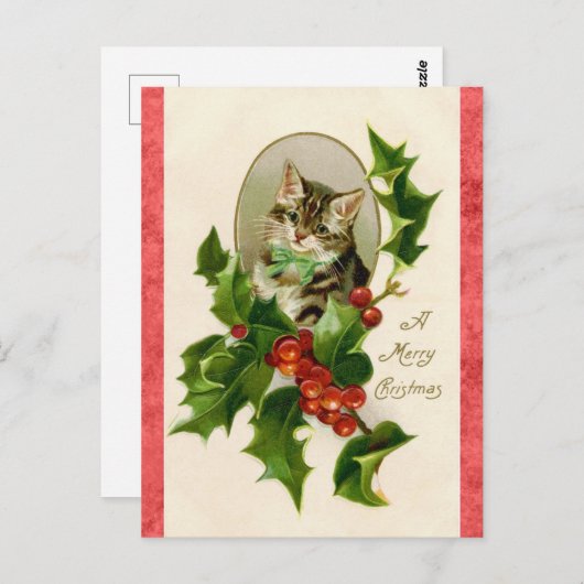  kerstgroet Cute Kitten Cat Briefkaart (Voorkant / Achterkant)