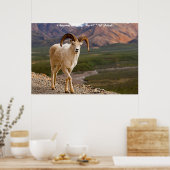 Kerstgroet, mijn liefdesvriendin poster (Keuken)