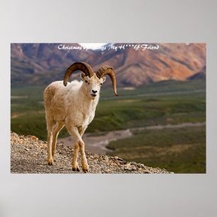 Kerstgroet, mijn liefdesvriendin poster