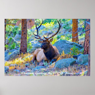 Kerstgroet, mijn liefdesvriendin poster