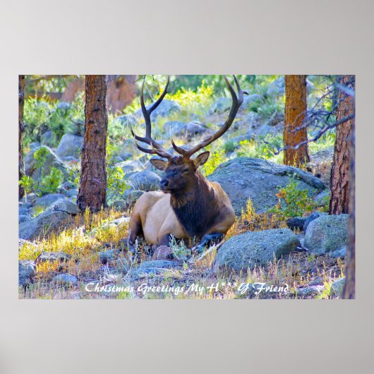 Kerstgroet, mijn liefdesvriendin poster (Voorkant)