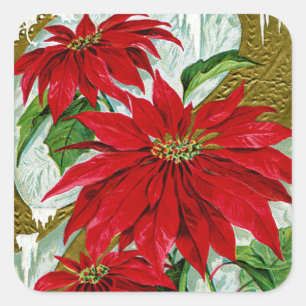Kerstgroet Pointsettia Vierkante Sticker