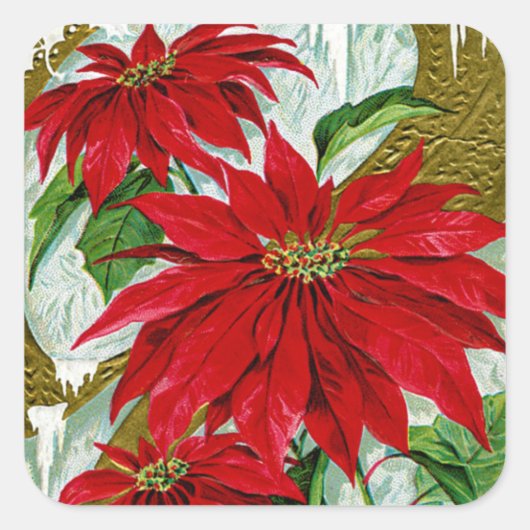 Kerstgroet Pointsettia Vierkante Sticker (Voorkant)