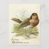 Kerstgroet van Robin Bird uit 1908 Briefkaart (Voorkant)
