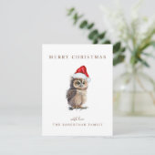 Kerstgroet van uil feestdagenkaart (Staand voorkant)