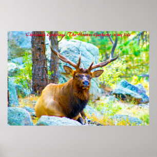 Kerstgroeten de Hunter Gatherer in mijn leven Poster