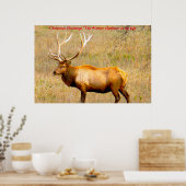 Kerstgroeten de Hunter Gatherer in mijn leven Poster (Keuken)