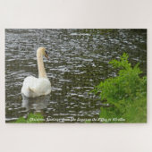 Kerstgroeten De zwanen in Kilcullen Legpuzzel (Horizontaal)