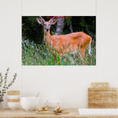 Kerstgroeten Deerest Poster (Keuken)