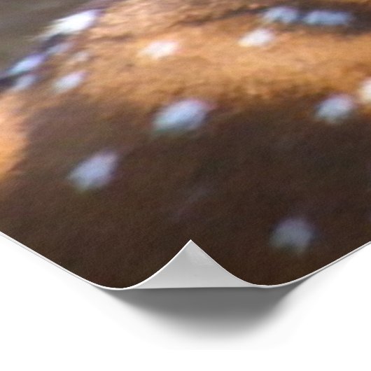 Kerstgroeten Deerest Poster (Hoek)