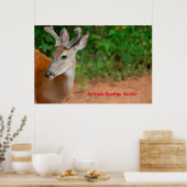 Kerstgroeten Deerest Poster (Keuken)