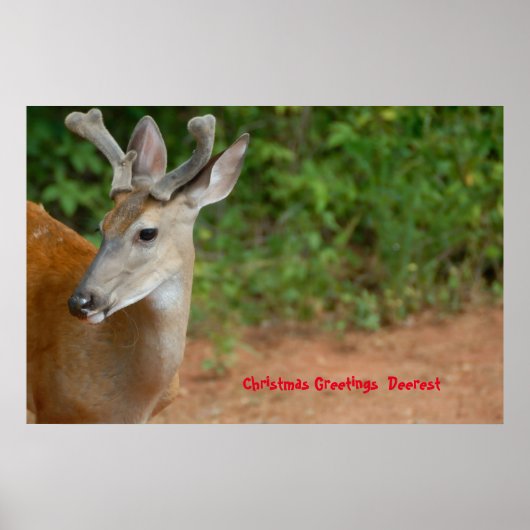 Kerstgroeten Deerest Poster (Voorkant)