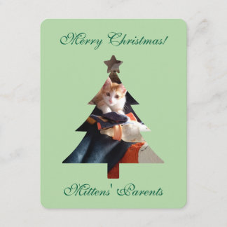 Kerstgroeten Kat Foto Kaart