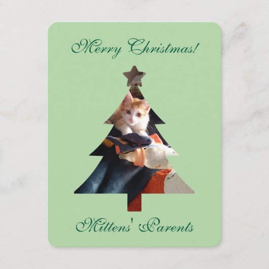 Kerstgroeten Kat Foto Kaart (Voorkant)