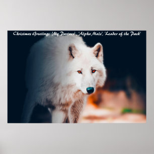 Kerstgroeten Leider van de Roedel Poster
