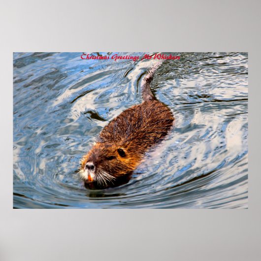 Kerstgroeten  meneer Whiskers Poster (Voorkant)