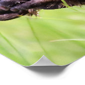 Kerstgroeten Mijn bezige bever Poster (Hoek)