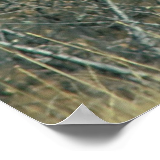 Kerstgroeten Mijn grote trap Poster (Hoek)