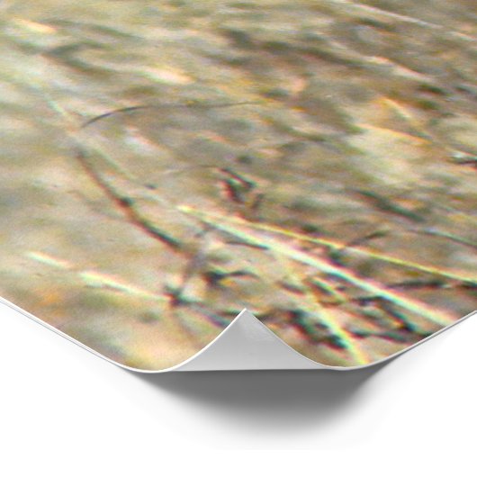 Kerstgroeten Mijn grote trap Poster (Hoek)