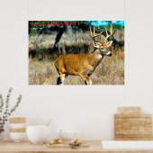 Kerstgroeten Mijn grote trap Poster (Keuken)