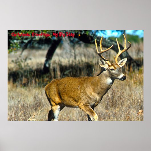 Kerstgroeten Mijn grote trap Poster (Voorkant)