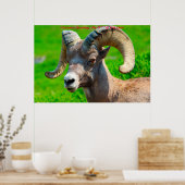 Kerstgroeten Mijn honinggeit Poster (Keuken)