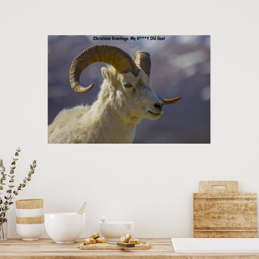 Kerstgroeten Mijn honinggeit Poster (Keuken)