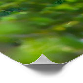 Kerstgroeten Mijn honinggeit Poster (Hoek)