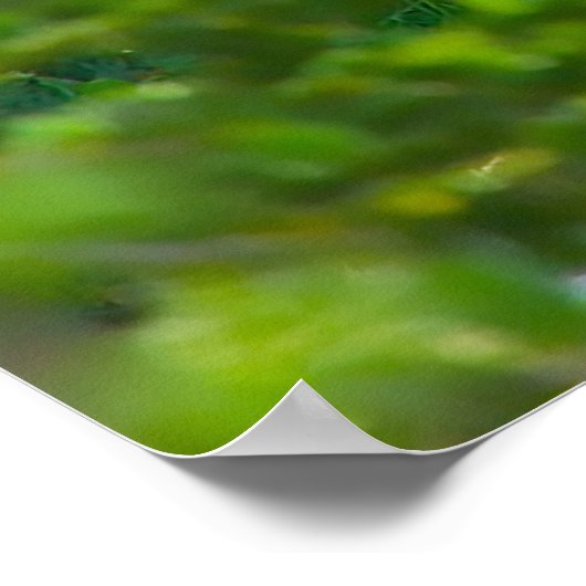 Kerstgroeten Mijn honinggeit Poster (Hoek)