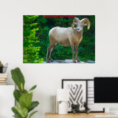 Kerstgroeten Mijn honinggeit Poster (Thuiskantoor)