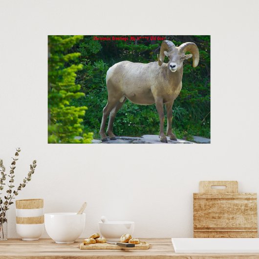 Kerstgroeten Mijn honinggeit Poster (Keuken)