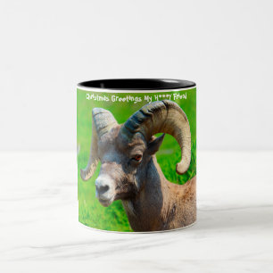 Kerstgroeten Mijn honingvriend Tweekleurige Koffiemok
