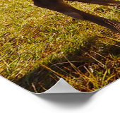 Kerstgroeten, mijn jager Gatherer Poster (Hoek)