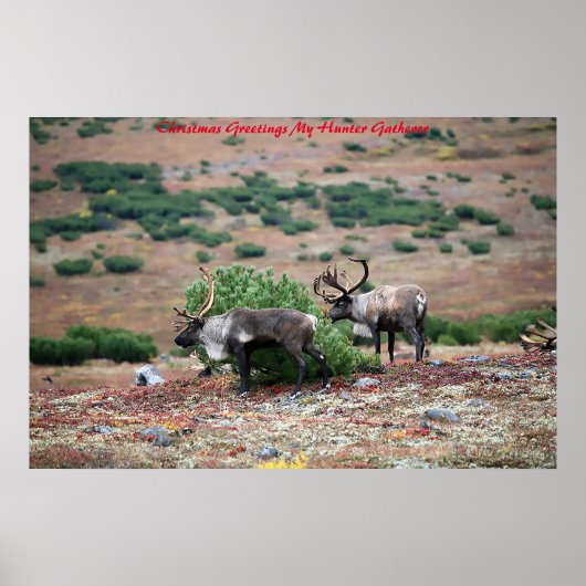 Kerstgroeten, mijn jager Gatherer Poster (Voorkant)