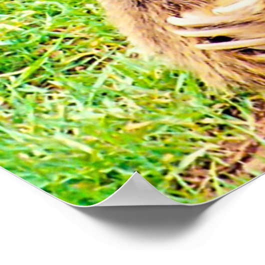 Kerstgroeten, mijn jager Gatherer Poster (Hoek)