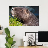 Kerstgroeten Mijn Kleine Bever Poster (Thuiskantoor)